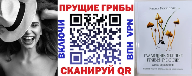 даркнет сайт  Котельники  Галлюциногенные грибы мухоморы 